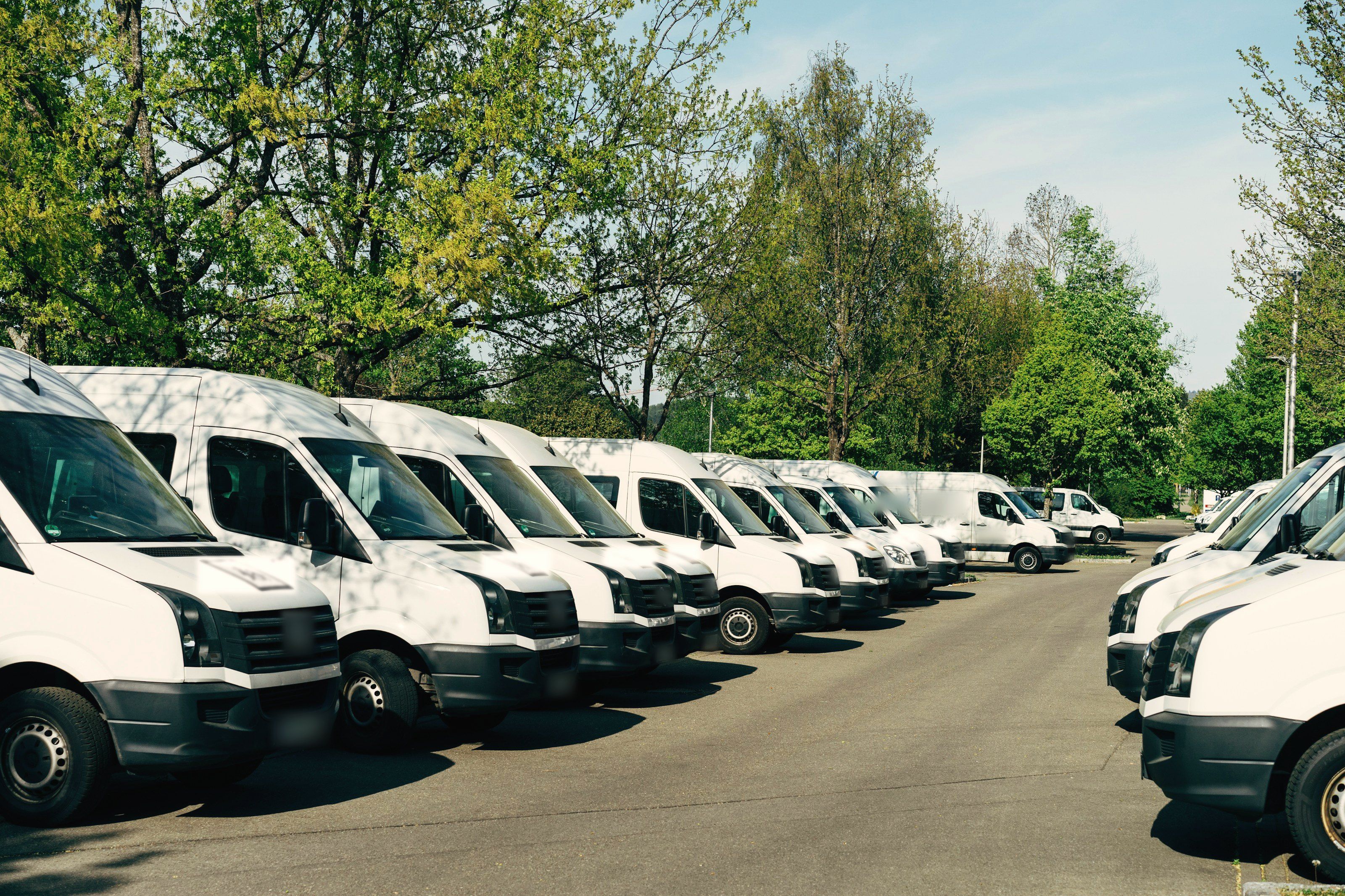 A row of white service vans parked under the trees