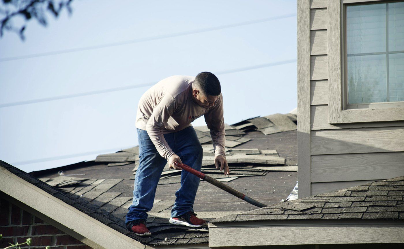 A Northgate roofer tearing off old shingles down to the deck