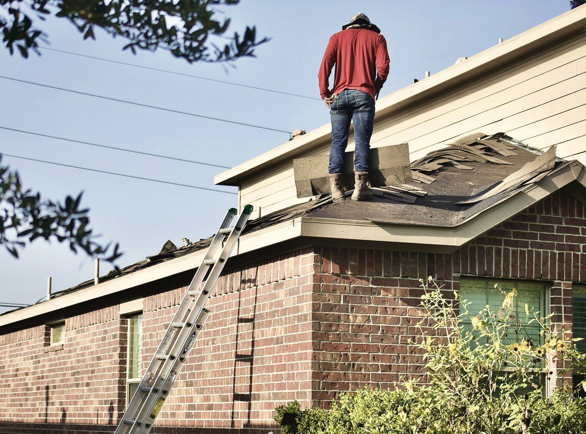A roofer checking lifted shingles on a brick ranch house